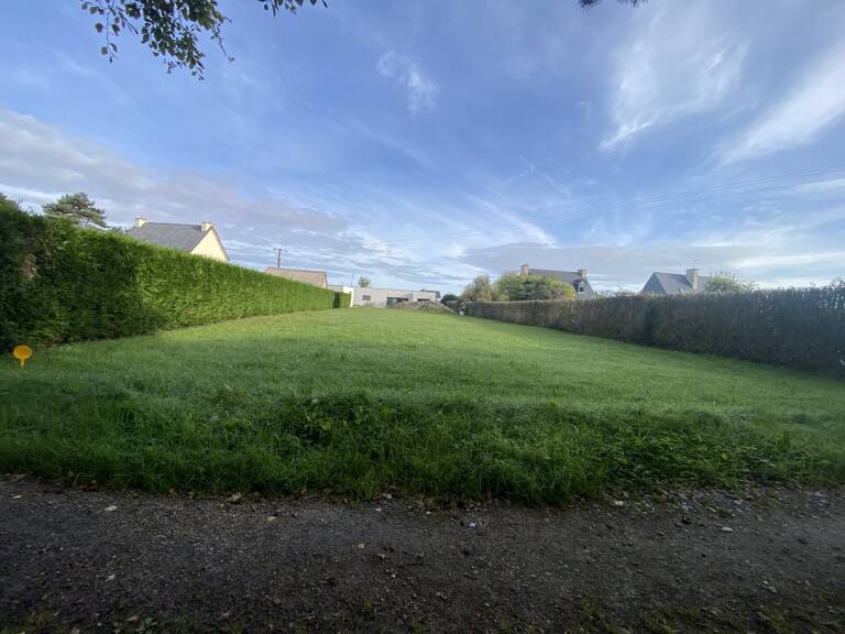 Terrain — photo 1