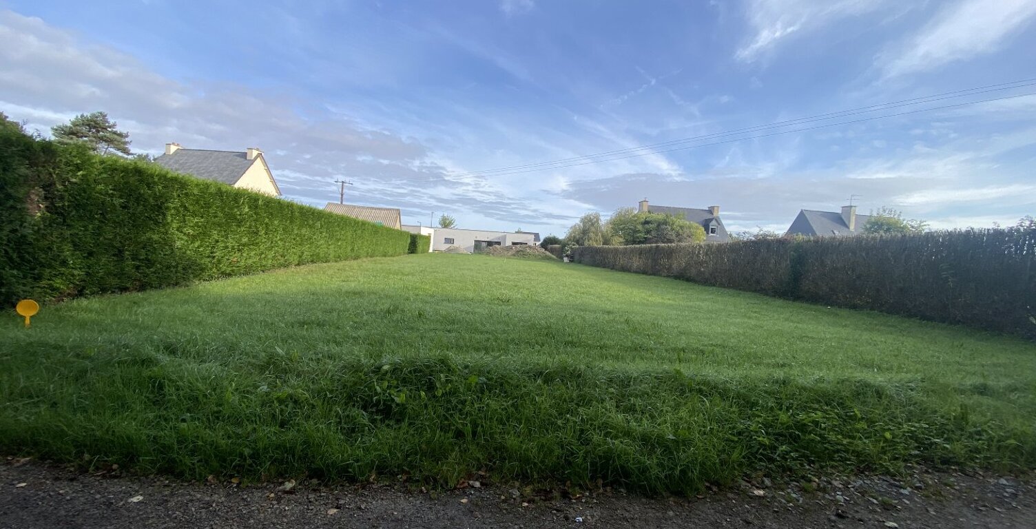 Terrain — photo 1
