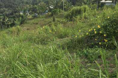 Terrain  230000 €