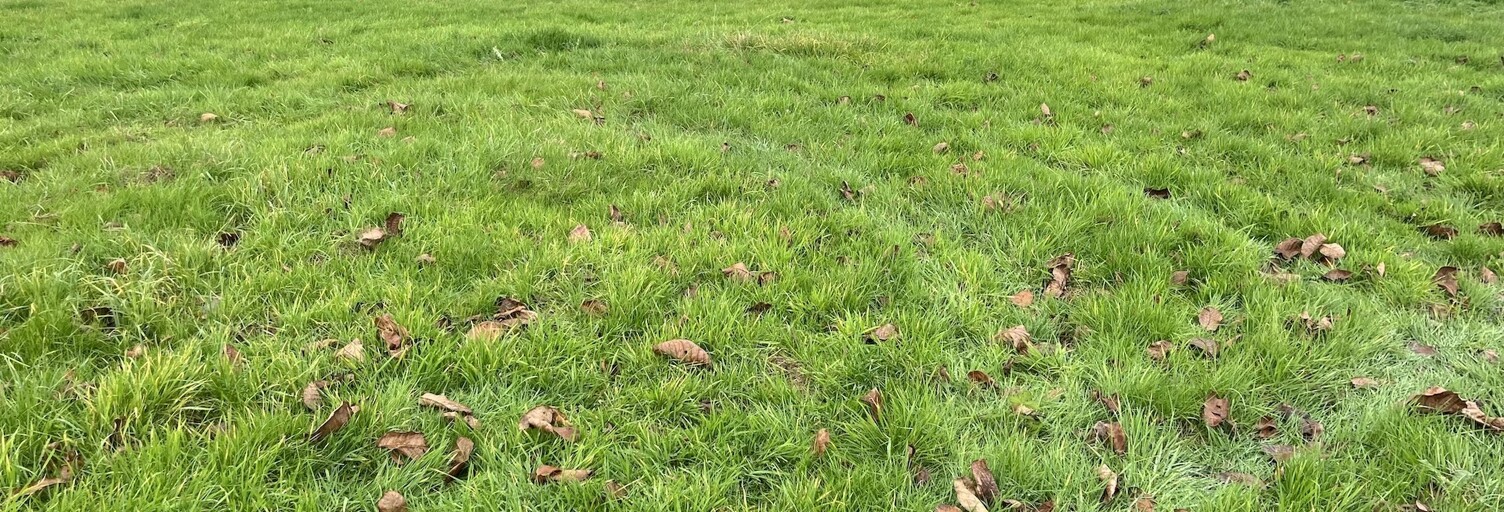 Terrain  1051 m² à vendre à Saint-Martin-aux-Chartrains (14130)