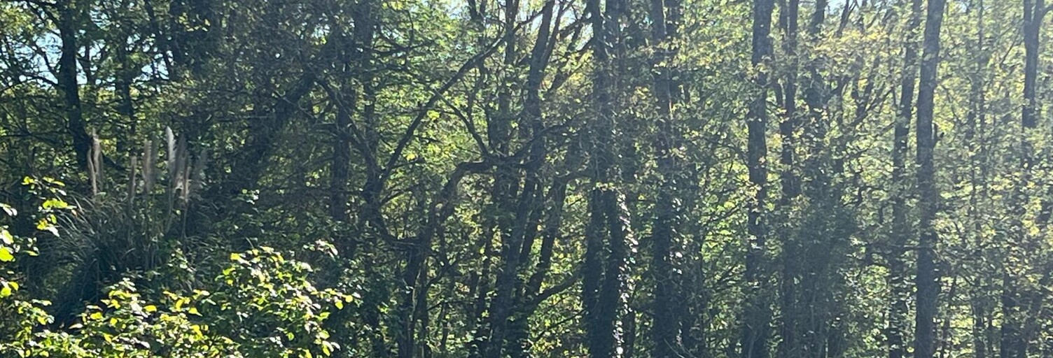 Maison 4 Pièces 75 m² à vendre à Chambray-lès-Tours (37170)