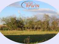 TERRAIN CONSTRUCTIBLE A 4.60 EUROS/m² x 5 005 m² A LA CAMPAGNE — photo 4