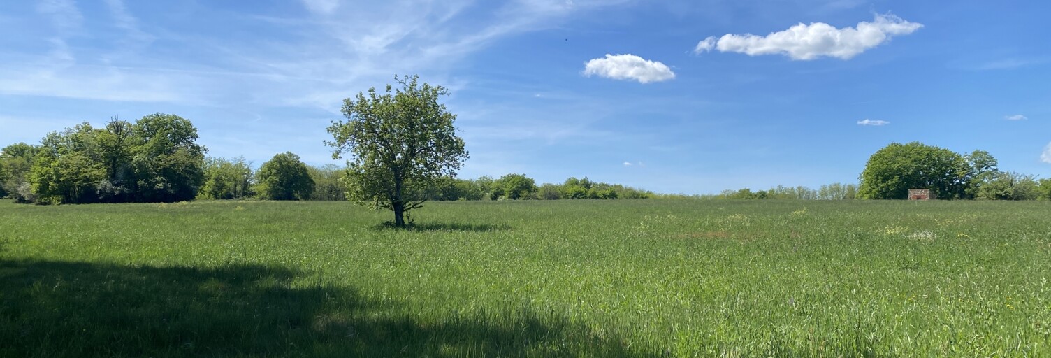 Terrain  1988 m² à vendre à Domme (24250)