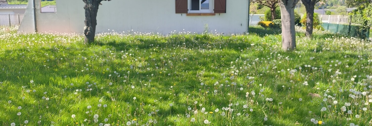 Photo N° 2
