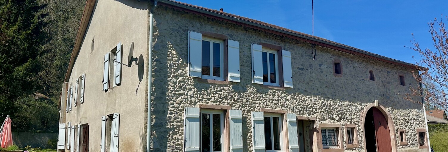 Maison 10 Pièces 249 m² à vendre à Plainfaing (88230)