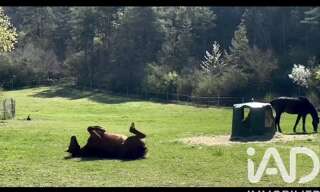 Photo N° 2