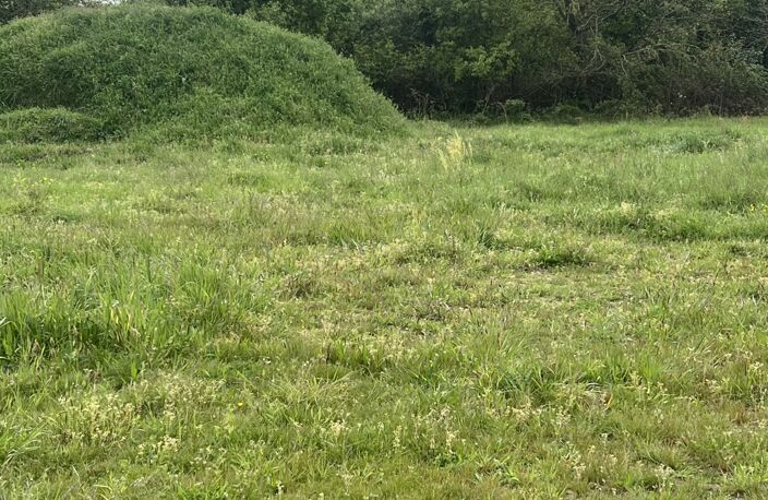 Vente Terrain à bâtir 483 m&sup2; — photo 3
