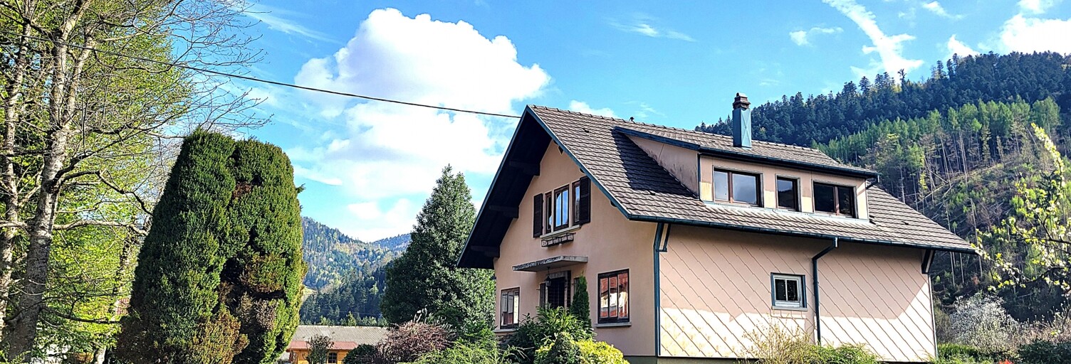 Maison 8 Pièces 124 m² à vendre à Storckensohn (68470)