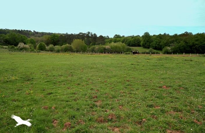 Corps de Ferme de 5 pièces principales — photo 3