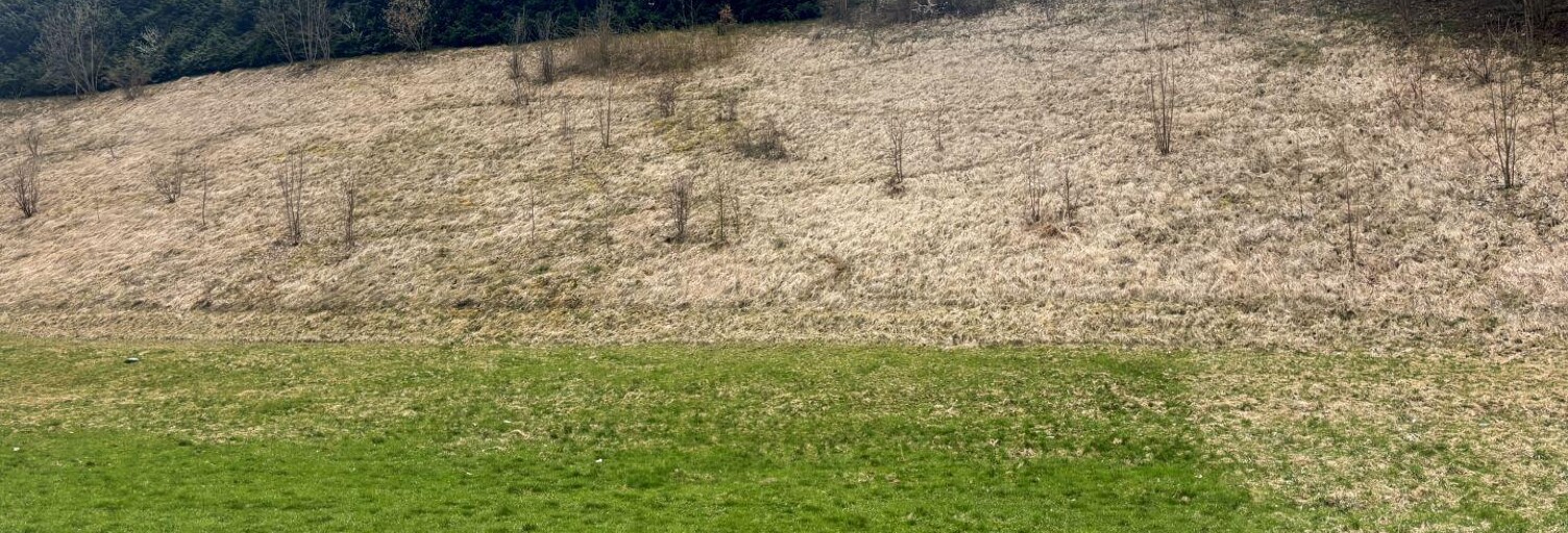 Terrain  444 m² à vendre à Montriond (74110)