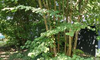 Maison 3 Pièces 70 m² à vendre à L'Isle-Adam (95290)