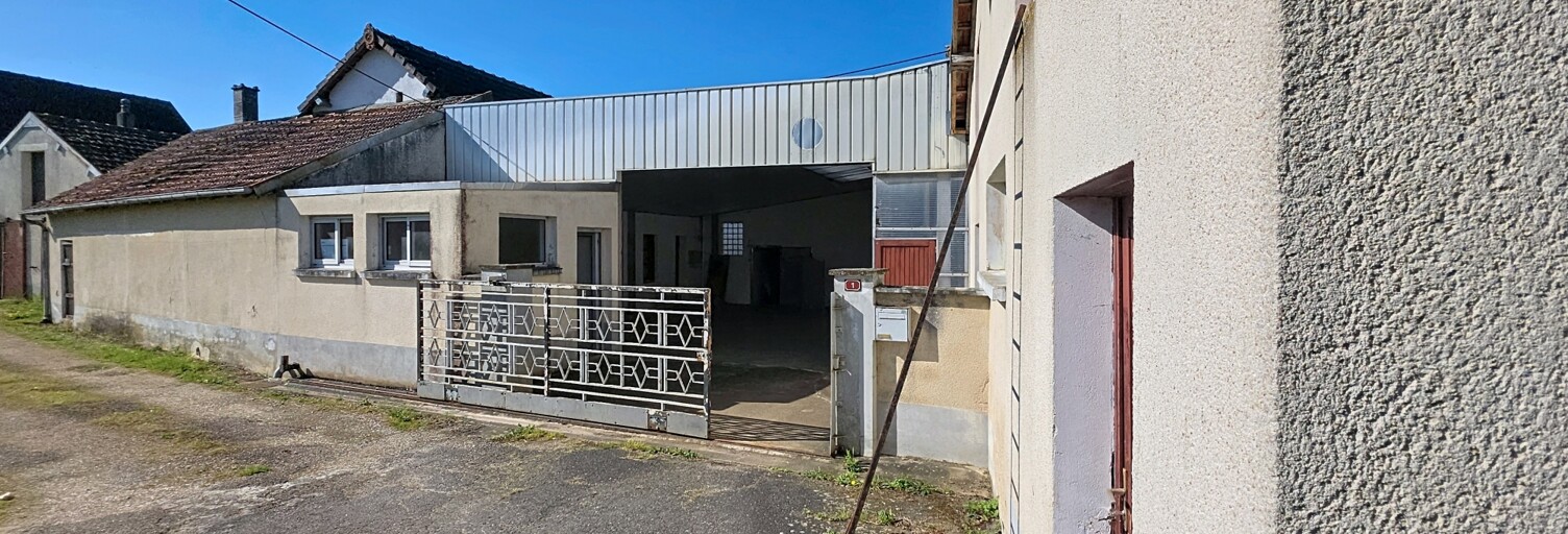 Commerce  400 m² à vendre à Santranges (18240)
