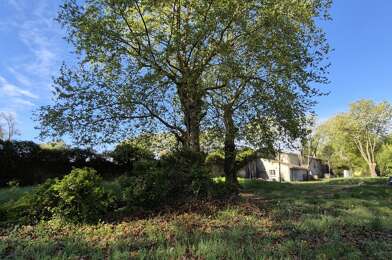 Terrain  780000 €