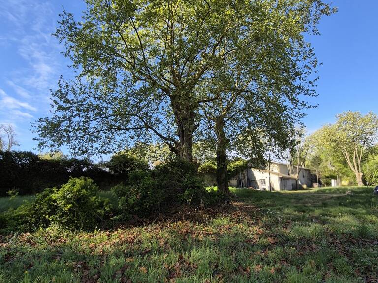 Vente Terrain 24 000 m&sup2; — photo 1