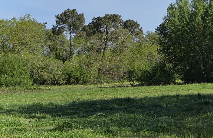 Vente Terrain 24 000 m&sup2; — photo 4
