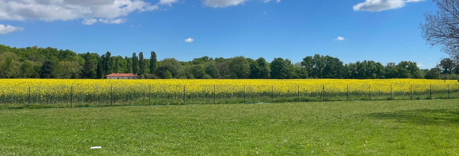 Maison 3 Pièces 73 m² à vendre à Albias (82350)