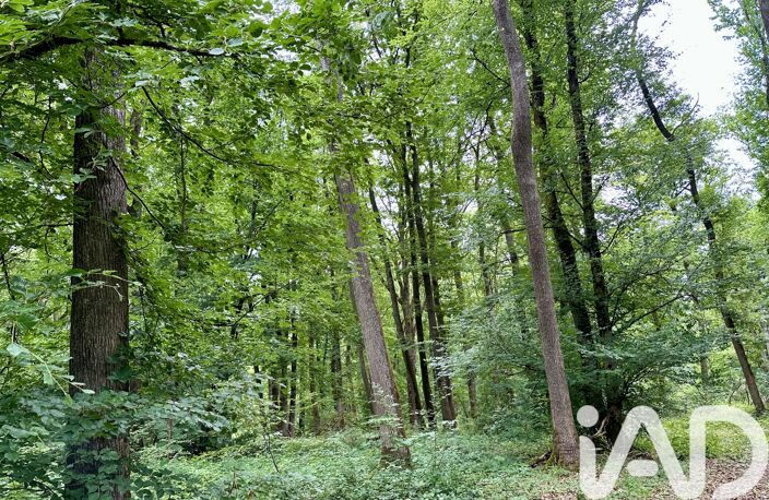 Vente Surface diverse 133 671 m&sup2; — photo 3