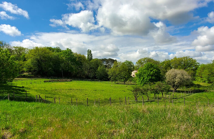 Propriété en campagne à vendre sur 3,26 ha avec dépendances. — photo 2