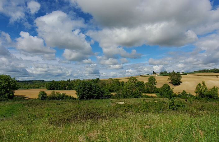 Propriété en campagne à vendre sur 3,26 ha avec dépendances. — photo 3