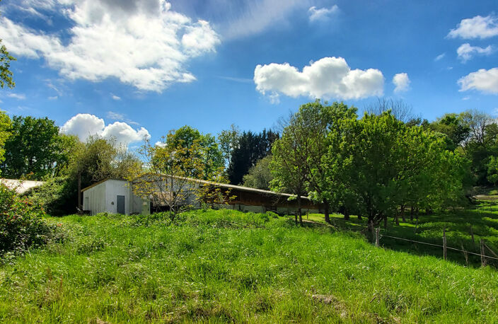 Propriété en campagne à vendre sur 3,26 ha avec dépendances. — photo 4