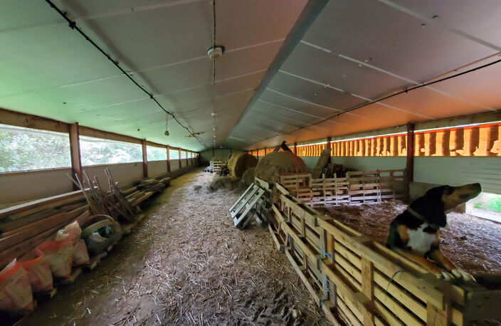 Propriété en campagne à vendre sur 3,26 ha avec dépendances. — photo 5