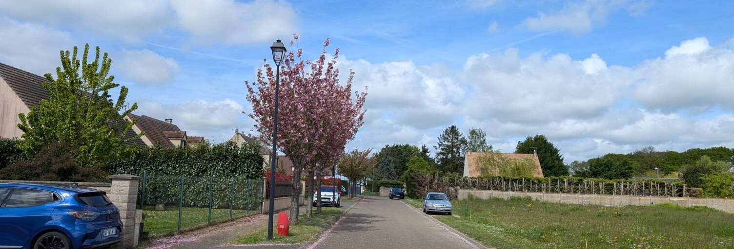 Photo N° 2