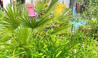 Appartement 1 Pièce 16 m² à vendre à La Londe-les-Maures (83250)