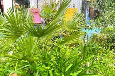 Appartement 1 pièces 157000 €