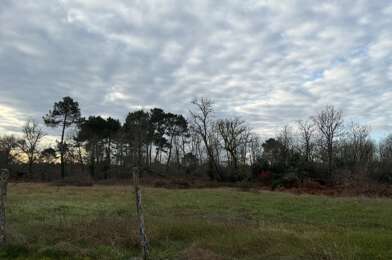 Terrain  155000 €