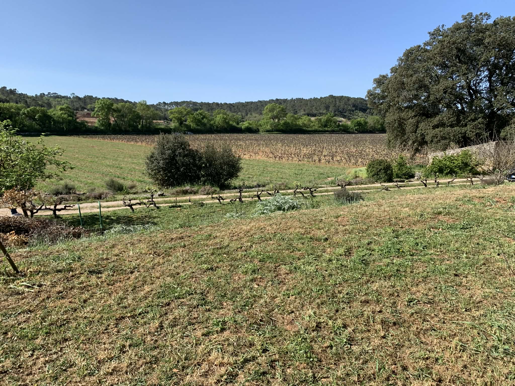 Terrain  à vendre Brignoles 83170