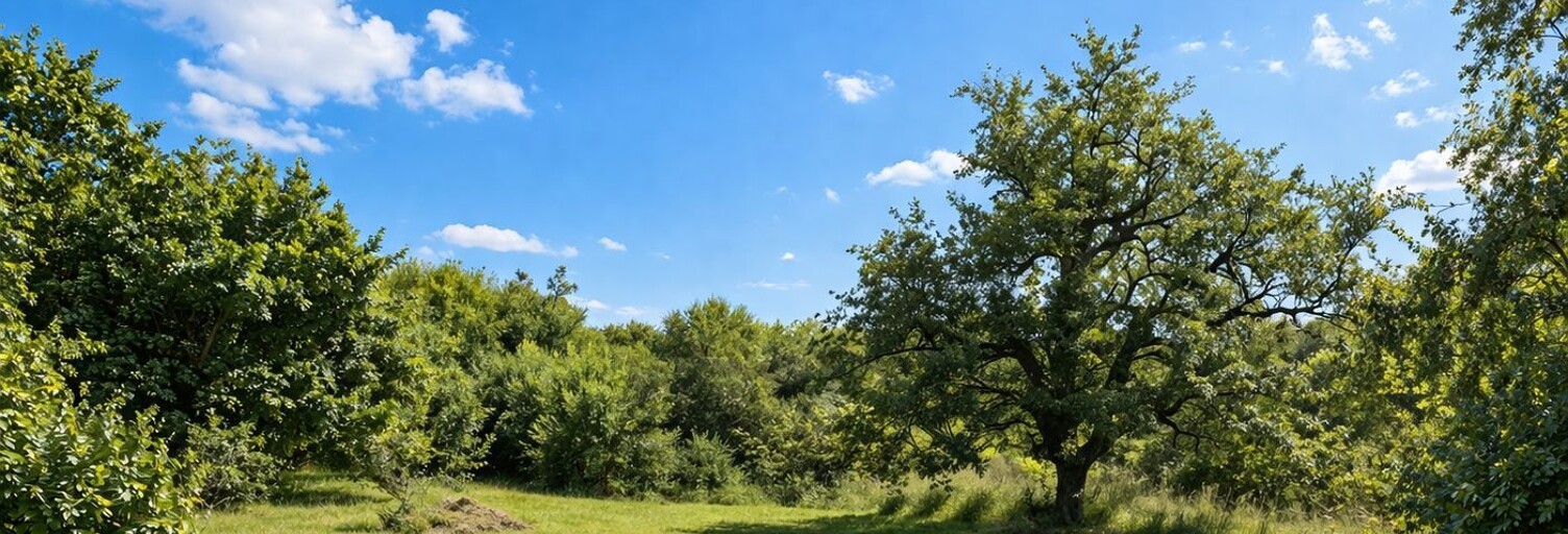 Terrain  892 m² à vendre à Corbeil-Essonnes (91100)