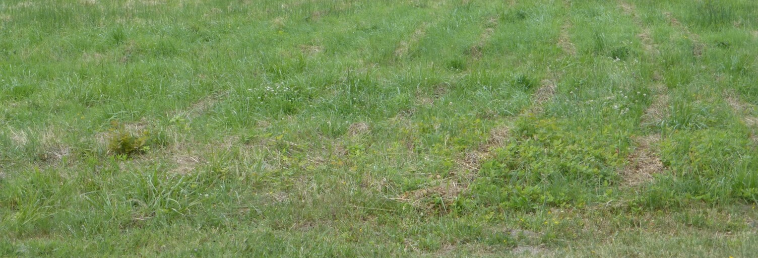 Terrain  1810 m² à vendre à Braud-et-Saint-Louis (33820)