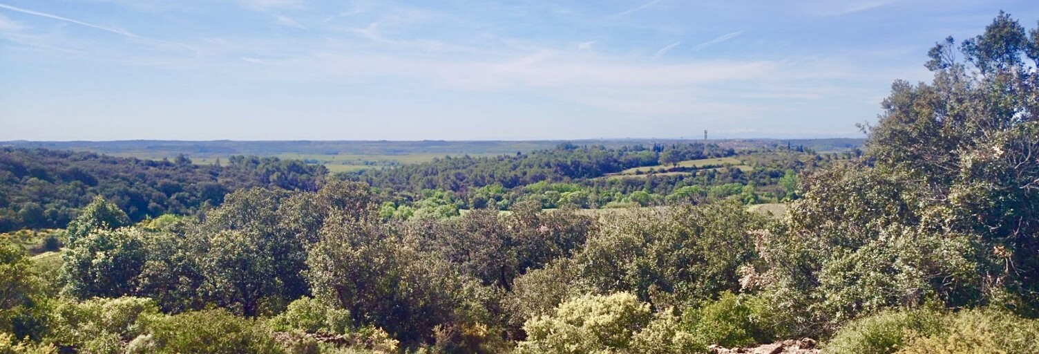 Terrain  13580 m² à vendre à Neffiès (34320)