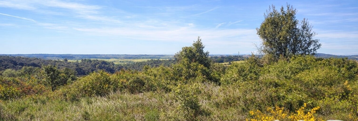 Terrain  13580 m² à vendre à Neffiès (34320)