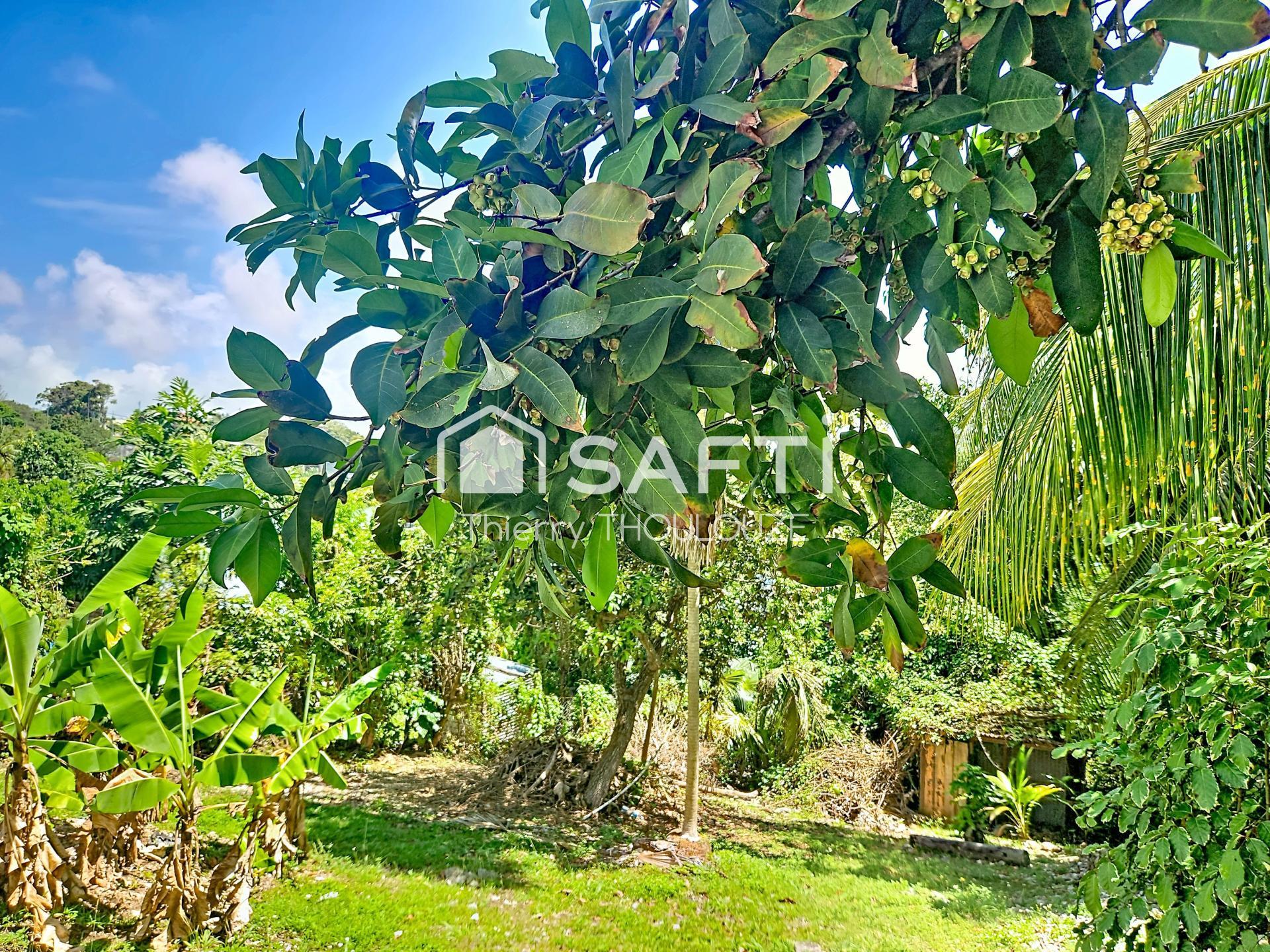 Agence immobilière de SAFTI