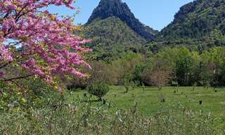 Terrain  11771 m² à vendre à Buis-les-Baronnies (26170)