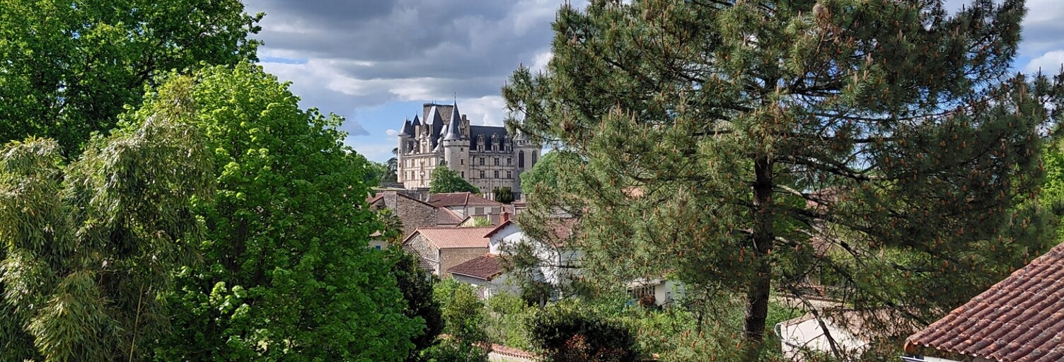 Maison 17 Pièces 458 m² à vendre à La Rochefoucauld-en-Angoumois (16110)