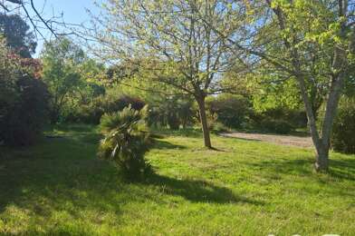 Terrain  98000 €