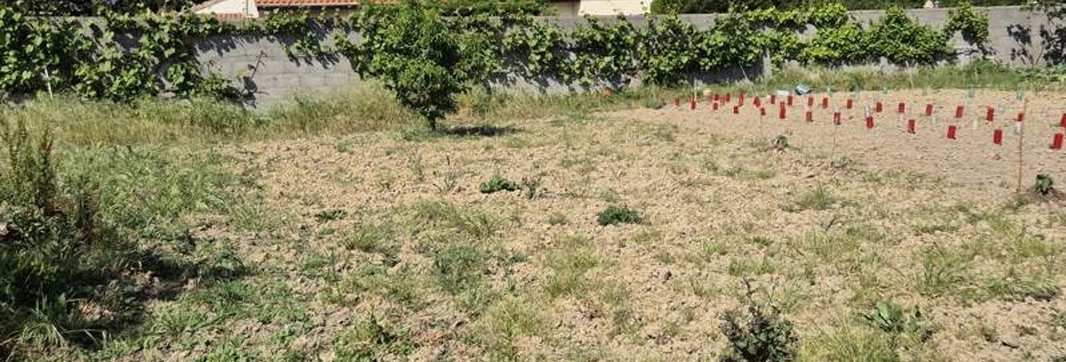Terrain  169 m² à vendre à Les Sables-d'Olonne (85340)
