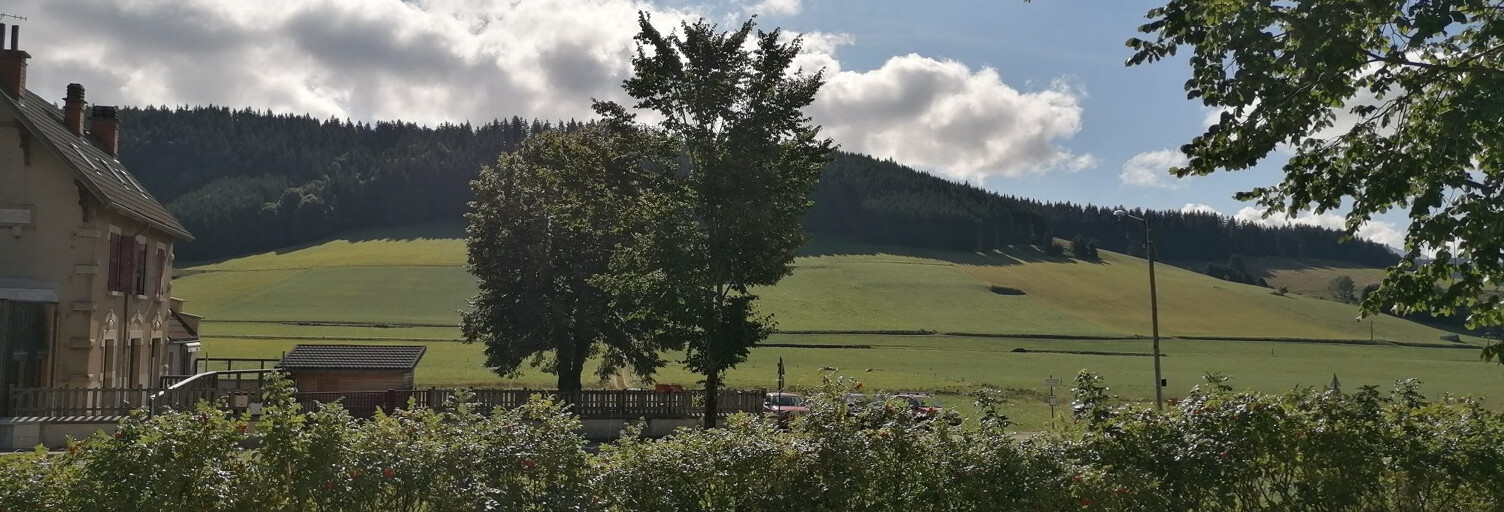 Photo N° 2