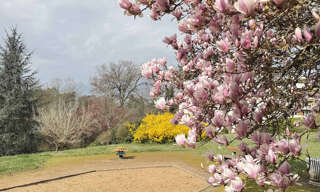 Appartement 5 Pièces 127 m² à vendre à Écully (69130)