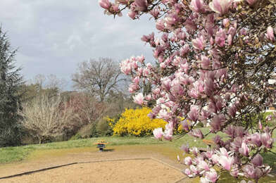 Appartement 5 pièces 595000 €