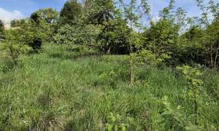 Terrain  320 m² à vendre à Monthyon (77122)