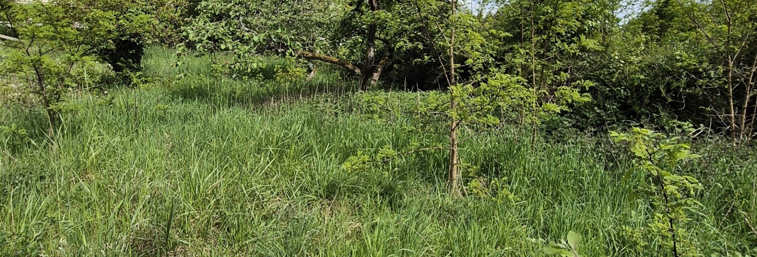 Terrain  320 m² à vendre à Monthyon (77122)