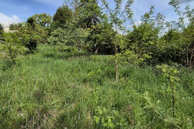 Terrain  112000 €