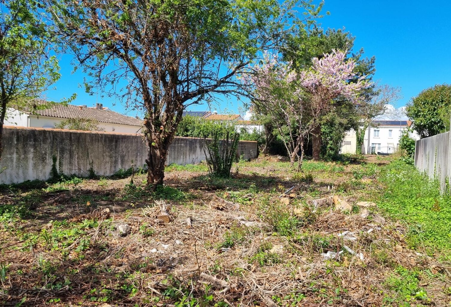 RARE - AYTRE SECTEUR LA COURBE - TERRAIN 922M2 - LIBRE DE CONSTRUCTEUR — photo 1