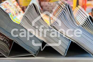 Commerce  99000 €