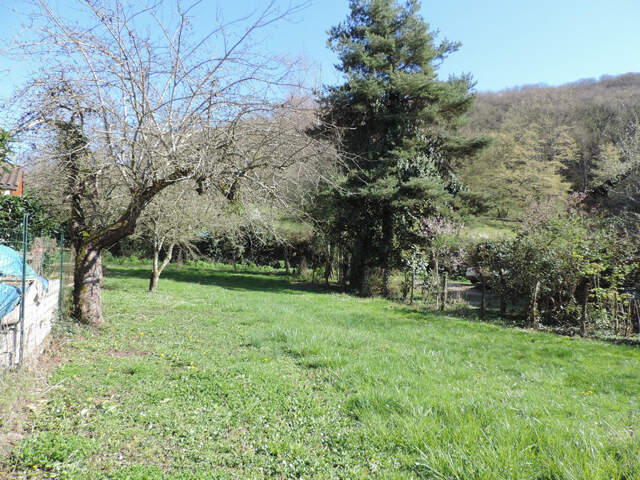 Dpt Ain (01), à vendre JOURNANS, terrain constructible non viabilisé de 362 m² — photo du bien