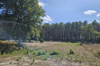 Terrain  175090 €