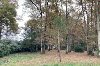 Terrain  185000 €